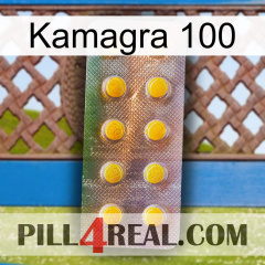 Kamagra 100 new11